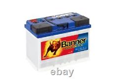 Banner Energy Bull Leisure Battery 95501 12V 60Ah