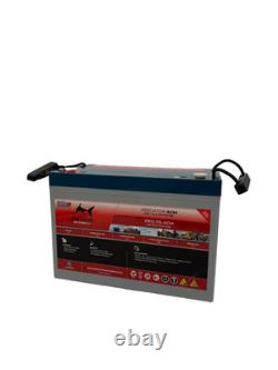 Deep Cycle AGM Leisure Battery 12v 115ah Leisure High Power with M8 Terminals
