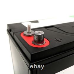 Dynamp DM31M 12V 110Ah Leisure Battery