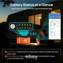 Eco Worthy 300ah Battery 12V Lithium LiFePO4 Deep Cycle Leisure Battery