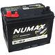 Leisure Battery Numax Cxv24 Battery 12v Dual Purpose 80ah 85ah Size