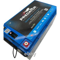 LiFePO4 Leisure Battery 12.8V 300ah with Bluetooth & Heating