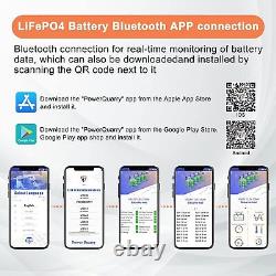 LiFePo4 12V 300Ah Lithium Battery/Charger Leisure Solar Panel RV BMS 5000+ Cycle
