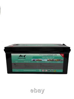 Lithium Leisure Battery 12V 200Ah LiFePO4 Campervan RV Caravan PR12-200-LiFe4s