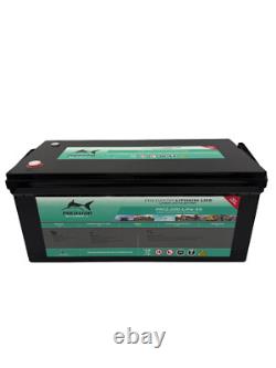 Lithium Leisure Battery 12V 200Ah LiFePO4 Campervan RV Caravan PR12-200-LiFe4s