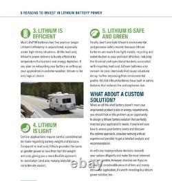 Lithium Leisure Battery 12V 200Ah LiFePO4 Campervan RV Caravan PR12-200-LiFe4s