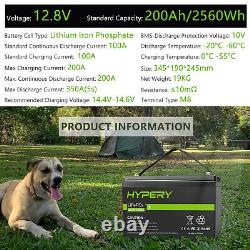 Lithium LiFePO4 Battery 12V 200Ah BMS Bluetooth Leisure RV Camper Boat Off Grid