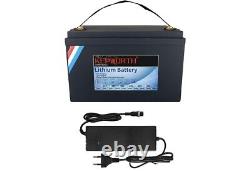 Lithuim leisure battery 12v 100Ah LifePo4 Battery Deep Cycles