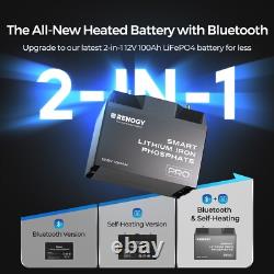 Renogy 100AH 12V LiFePO4 Lithium Leisure Battery or 500A Battery Monitor