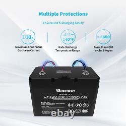 Renogy 100Ah 12V Lithium Battery Leisure Solar Smart BMS Deep Cycles 4000+