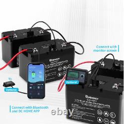 Renogy 100Ah 12V Lithium Battery Leisure Solar Smart BMS Deep Cycles 4000+