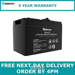 Renogy 12V 100Ah Heavy Duty Long Life Lithium Leisure Battery LiFePO4