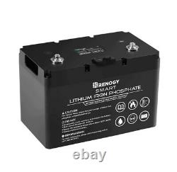 Renogy 12V 100Ah Heavy Duty Long Life Lithium Leisure Battery LiFePO4