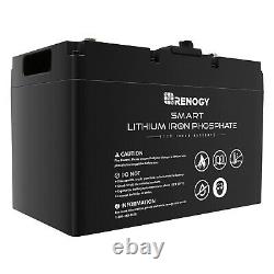 Renogy 12V 100Ah Heavy Duty Long Life Lithium Leisure Battery LiFePO4