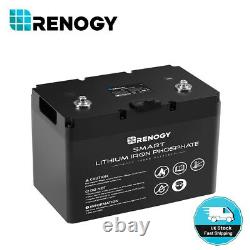 Renogy 12V 100Ah LiFePO4 Lithium Iron Phosphate Battery BMS Leisure campervan/RV