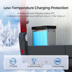 Renogy 12V 100Ah Smart LiFePO4 Lithium Iron Leisure Battery