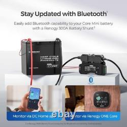 Renogy 12V 100Ah Smart LiFePO4 Lithium Iron Leisure Battery
