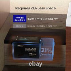 Renogy 200Ah 12V LiFePO4 Lithium Leisure Battery with 500A Battery Monitor