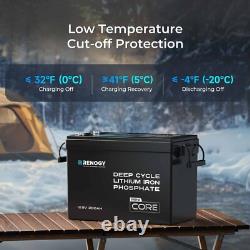 Renogy 200Ah 12V LiFePO4 Lithium Leisure Battery with 500A Battery Monitor