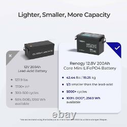 Renogy 200Ah 12V LiFePO4 Lithium Leisure Battery with 500A Battery Monitor