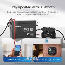Renogy 200Ah 12V LiFePO4 Lithium Leisure Battery with 500A Battery Monitor