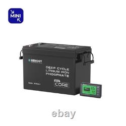 Renogy 300Ah 12V LiFePO4 Lithium Leisure Battery with 500A Battery Monitor