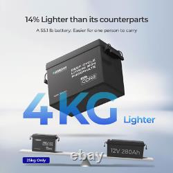 Renogy 300Ah 12V LiFePO4 Lithium Leisure Battery with 500A Battery Monitor