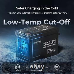Renogy 300Ah 12V LiFePO4 Lithium Leisure Battery with 500A Battery Monitor