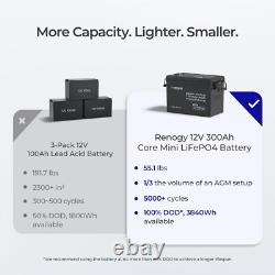 Renogy 300Ah 12V LiFePO4 Lithium Leisure Battery with 500A Battery Monitor