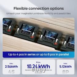 Renogy 50Ah 12V LiFePO4 Lithium Leisure Battery BMS IP65 for Off-grid Use