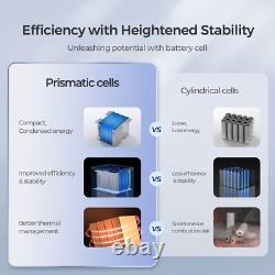 Renogy 50Ah 12V LiFePO4 Lithium Leisure Battery BMS IP65 for Off-grid Use