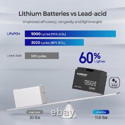 Renogy 50Ah 12V LiFePO4 Lithium Leisure Battery BMS IP65 for Off-grid Use