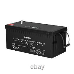 Renogy 50/170/100/200Ah 12V Lithium Battery Leisure Solar & Battery Monitor