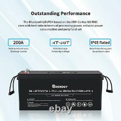 Renogy 50/170/100/200Ah 12V Lithium Battery Leisure Solar & Battery Monitor