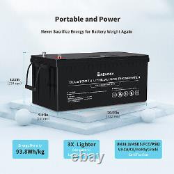 Renogy 50/170/100/200Ah 12V Lithium Battery Leisure Solar & Battery Monitor